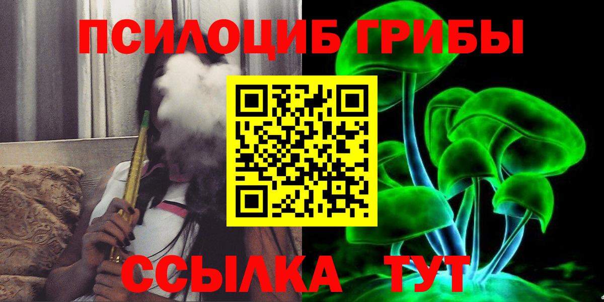 Псилоцибиновые грибы Psilocybe Черногорск