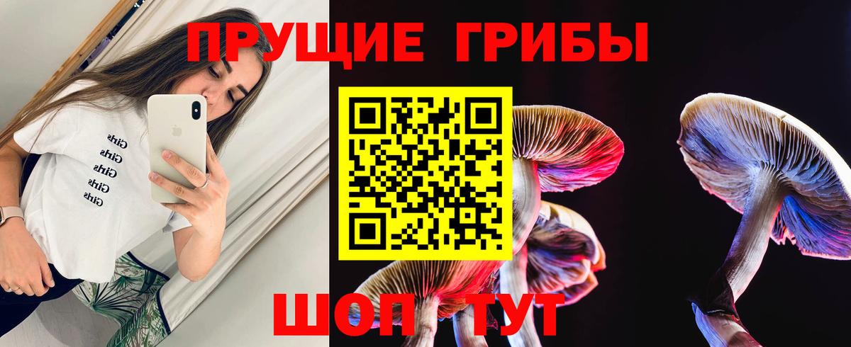 Черногорск  закладки  Вход с VPN  Псилоцибиновые грибы Cubensis 