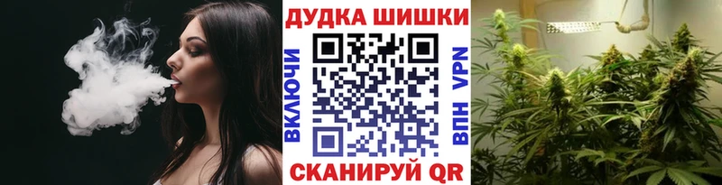 Бошки марихуана план  закладка  Черногорск 